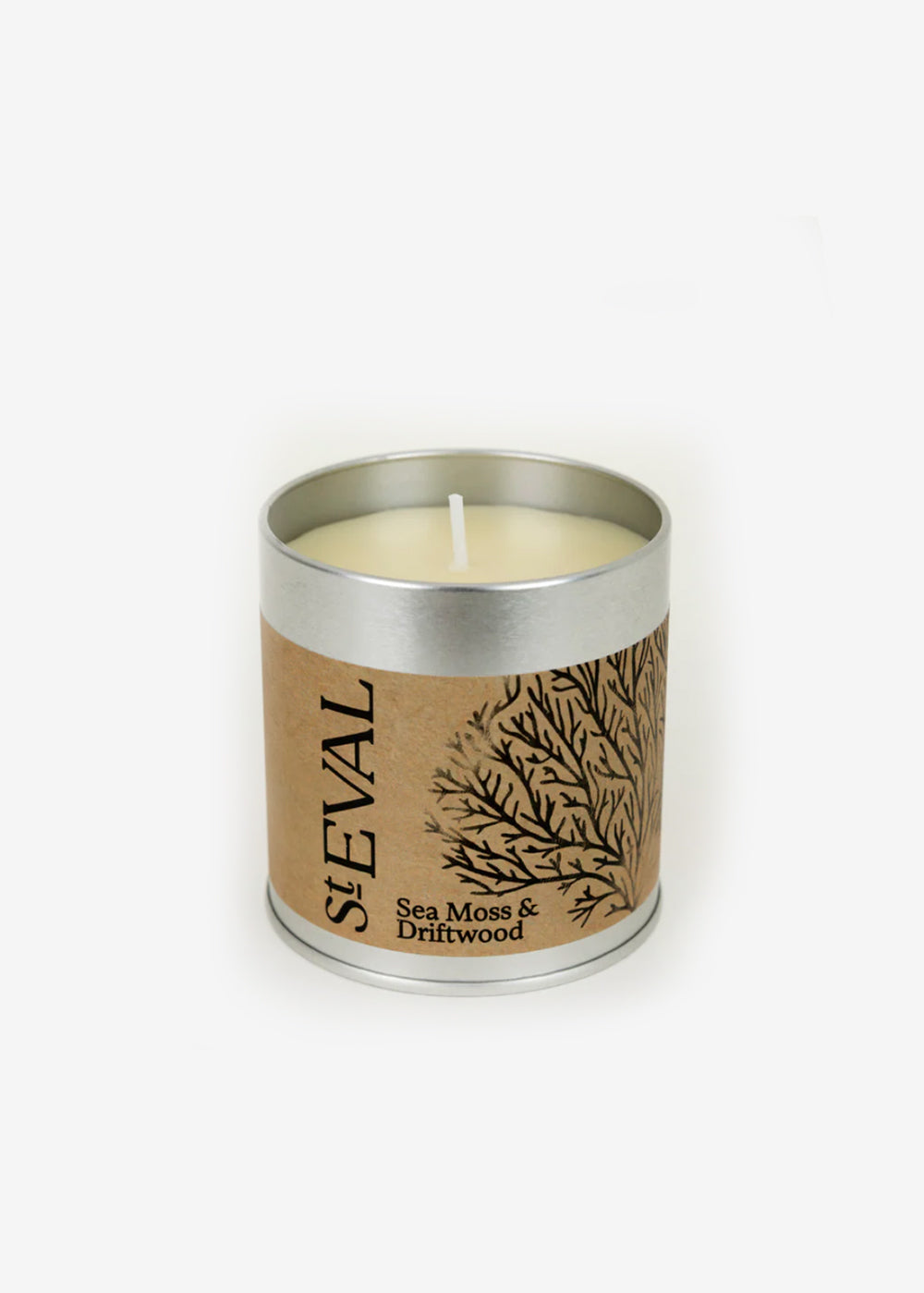 Sea Moss & Driftwood Tin Candle