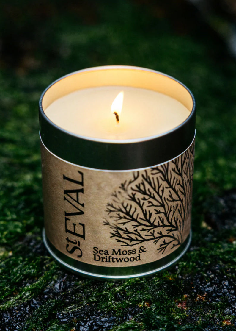 Sea Moss & Driftwood Tin Candle