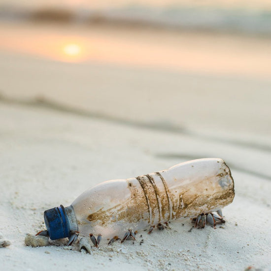 #PlasticFreeJuly - Top Tips