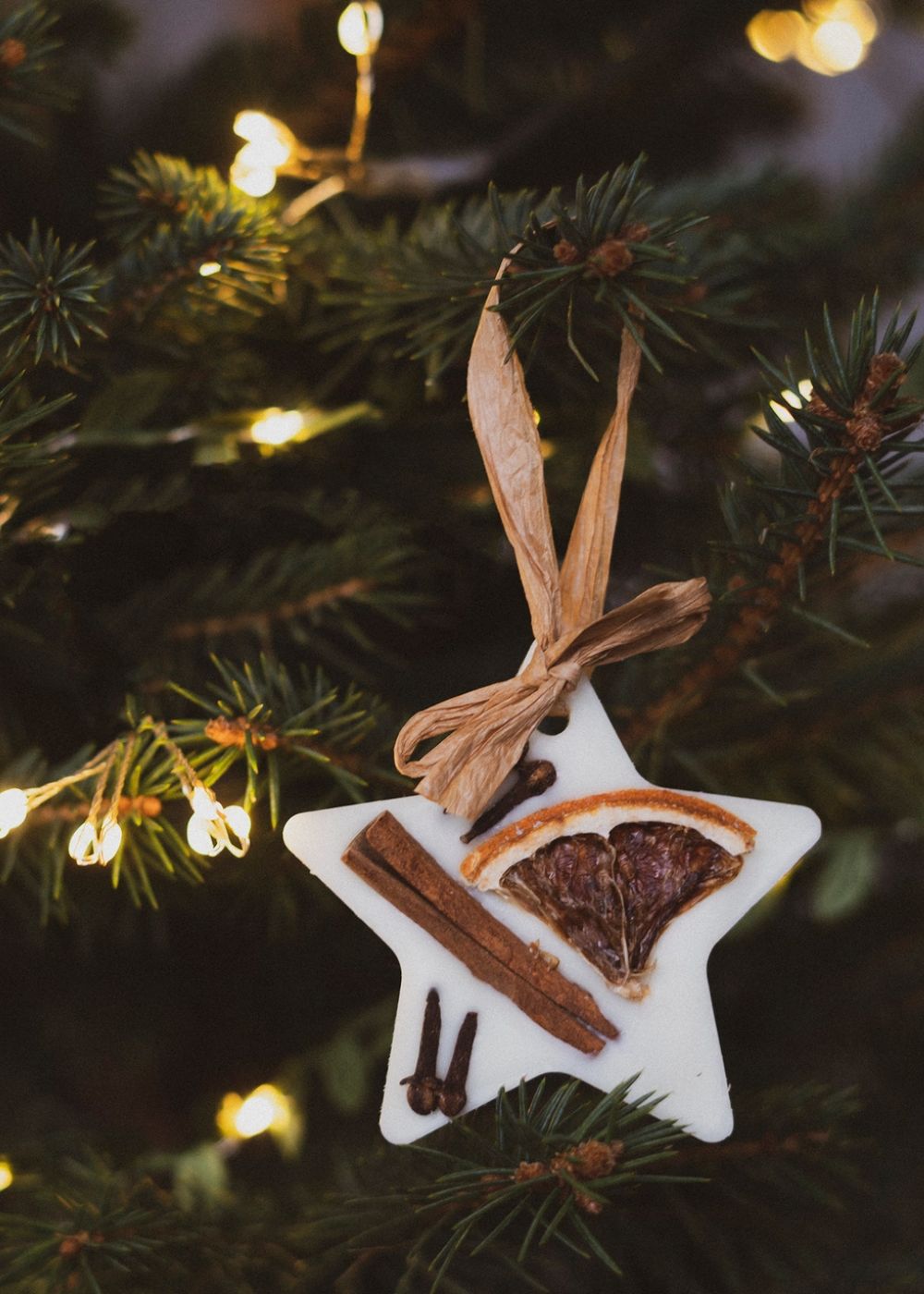 Cranberry, Orange and Cinnamon Star Christmas Decoration