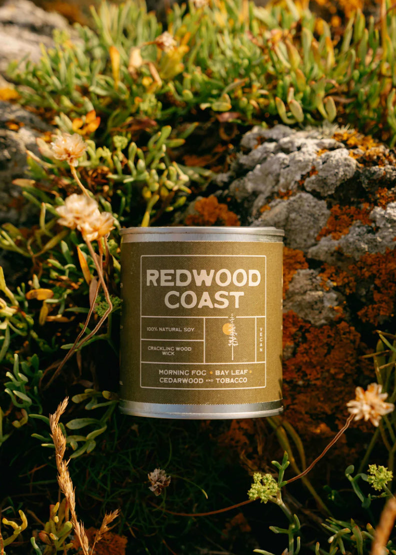 Redwood Coast Candle