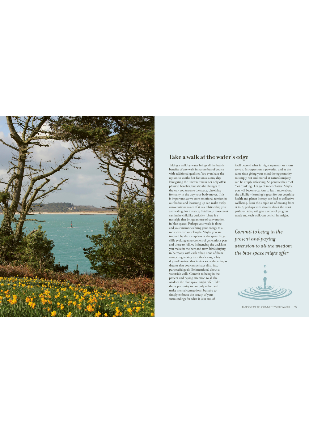 The Healing Power of Water - The essential guide to blue health