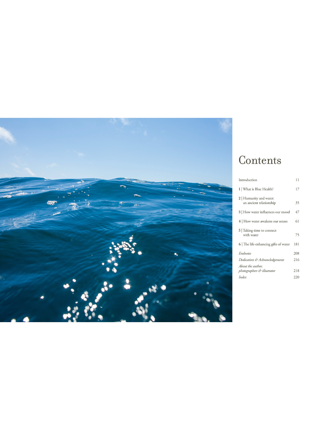 The Healing Power of Water - The essential guide to blue health