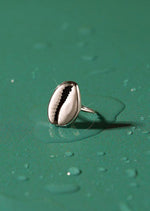 White Shell Cowrie Ring by At Aloha