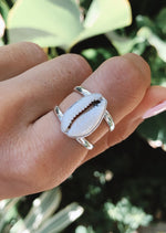Kairi Cowrie Shell Double Band Ring by Tropical Tribe