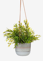 Glazed Ombre Hanging Planter in Grey
